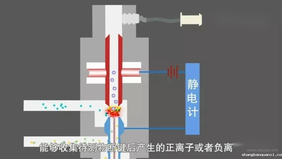 1713843494169830.jpg 5.jpg