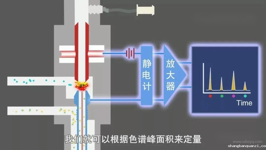 1713843510720068.jpg 7.jpg